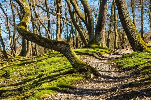 Les secrets d'une exploration réussie grâce à la cartographie